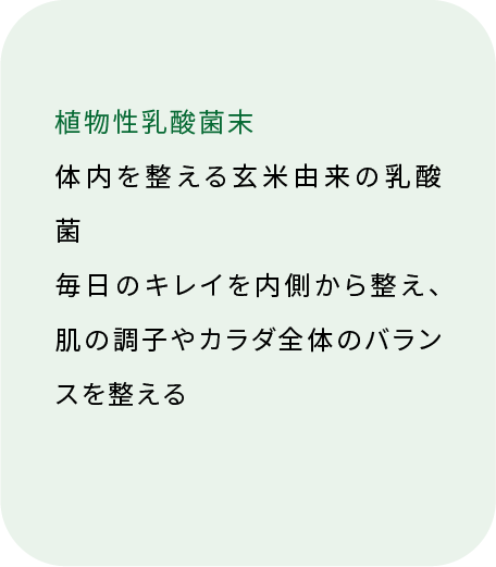 植物性乳酸菌末 体内を整える（裏面）